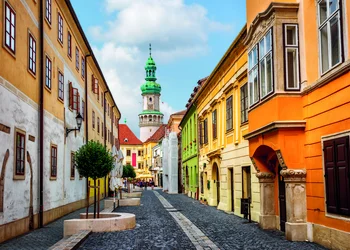 Traditionelles Ganslessen in Sopron mit Mulatsag Schifffahrt