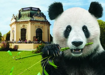 Ferienausklang im Tiergarten Schönbrunn & Prater