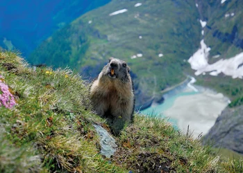 Großglockner - Kaiser-Franz-Josefs-Höhe