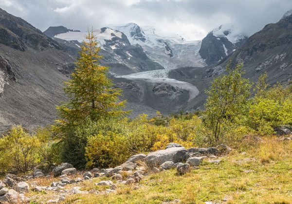 Der Glacier-Express ist ein auf den Tourismus ausgerichtetes Schnellzugangebot auf den Bahnnetzen der Rhätischen Bahn sowie der Matterhorn-Gotthard-Bahn in der Schweiz.